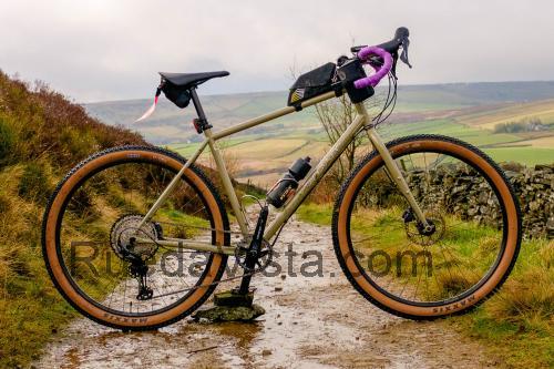 Singular Gryphon ficha técnica y opiniones